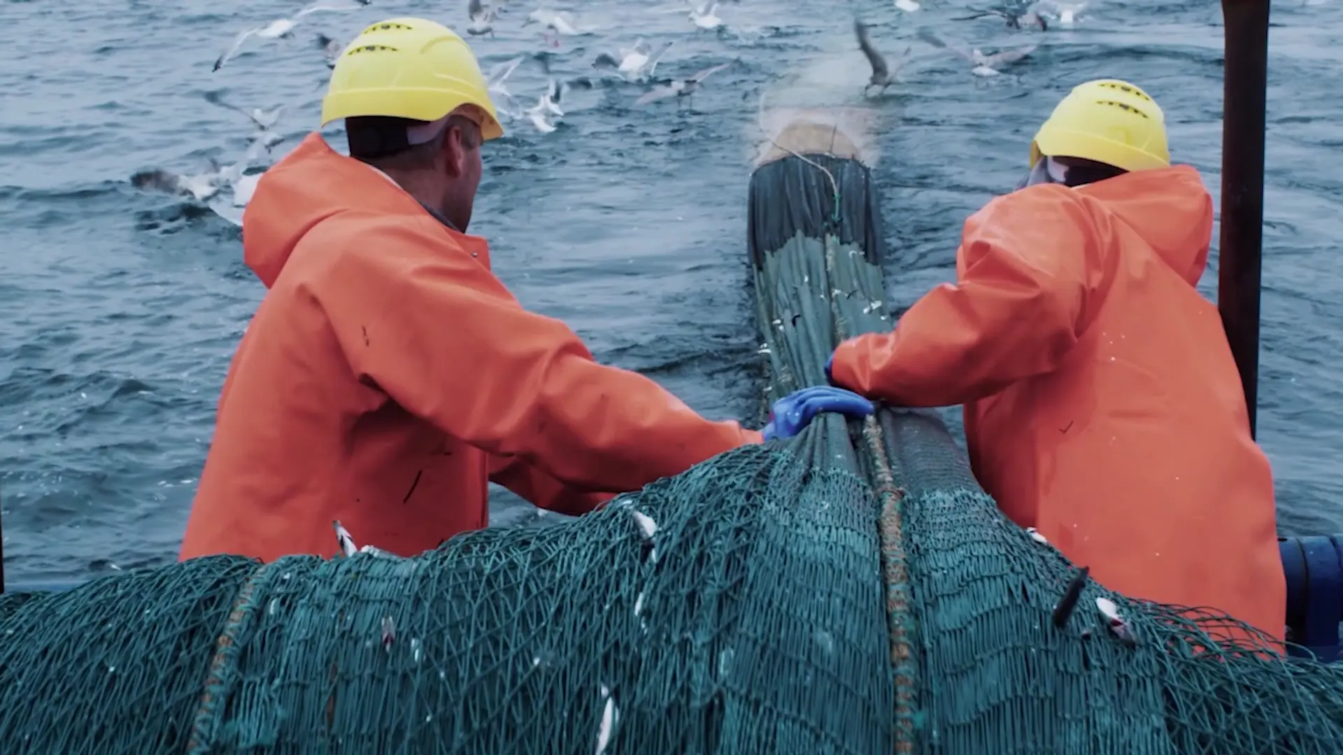 To fiskere i orange drakter som haler trålnota om bord